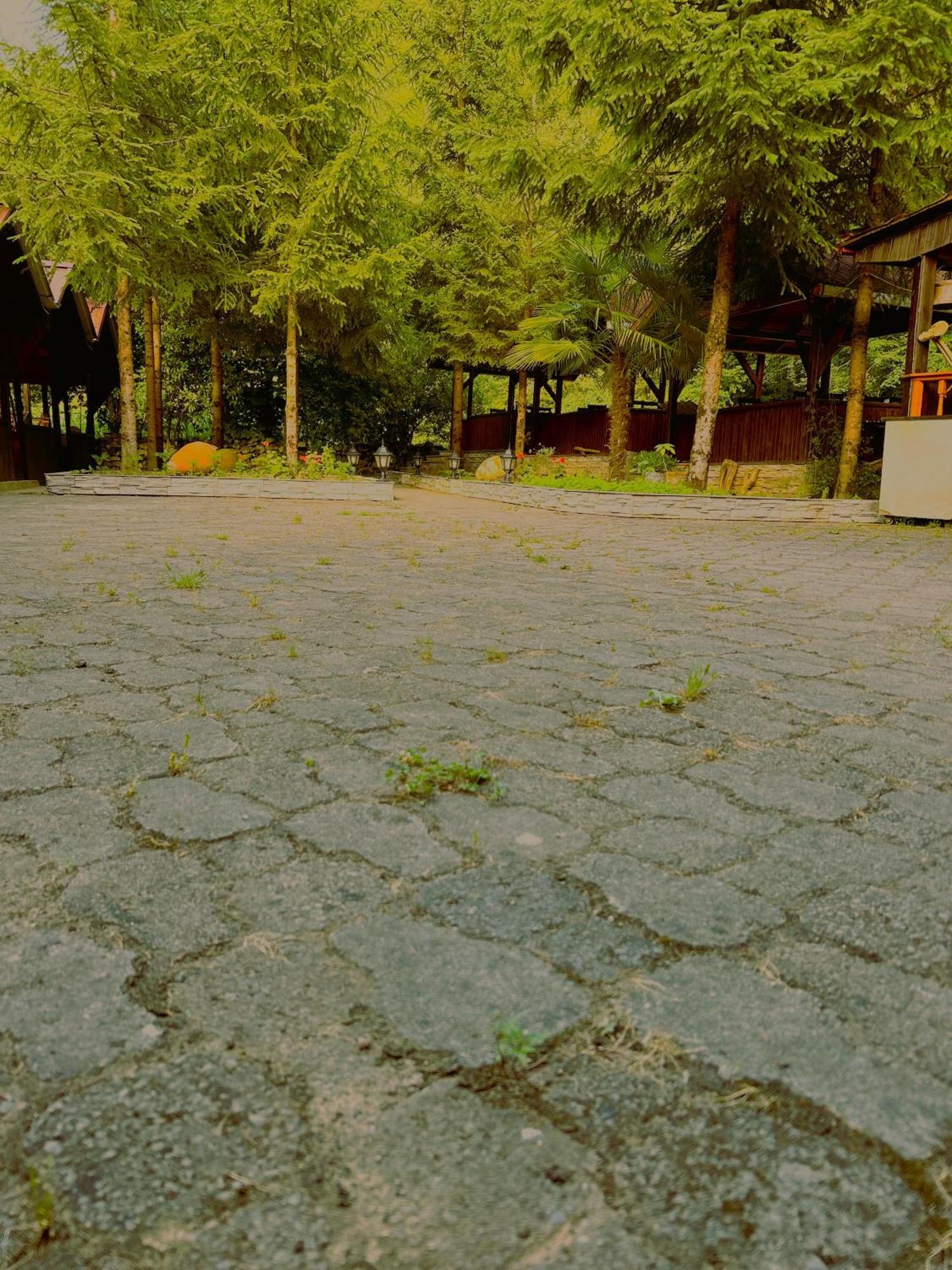 Isikli Kale Hotel Caykara Bagian luar foto